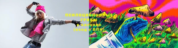 шишки Балабаново