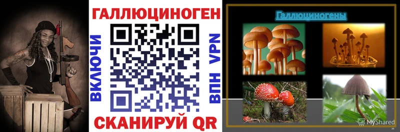 где купить   kraken зеркало  Галлюциногенные грибы Psilocybine cubensis  Краснообск 